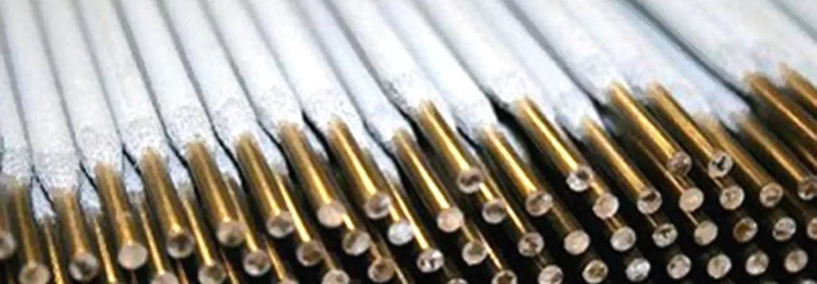 Светлогорские электроды по вкусу иностранным покупателям